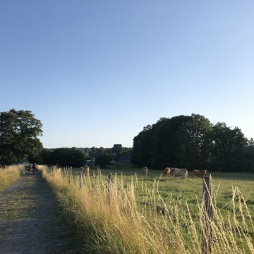 IMG 3847 - Scouts en Gidsen Zaventem 